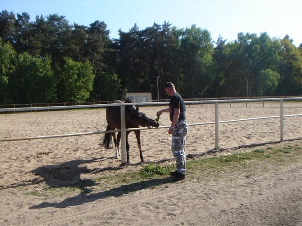 DSC01544 (2).JPG